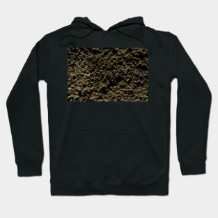 Sand After Rain Hoodie